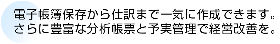 電子帳簿保存から仕訳まで一気に作成できます。さらに豊富な分析帳票と予実管理で経営改善を。